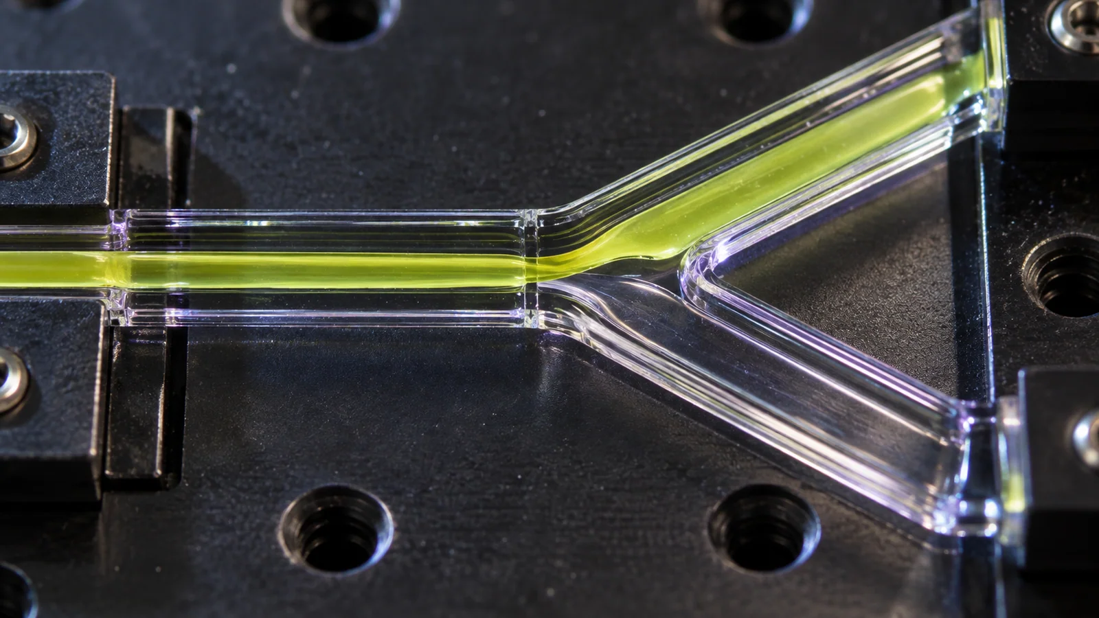 A Y-shaped microfluidic channel directing a colored liquid into one branch.